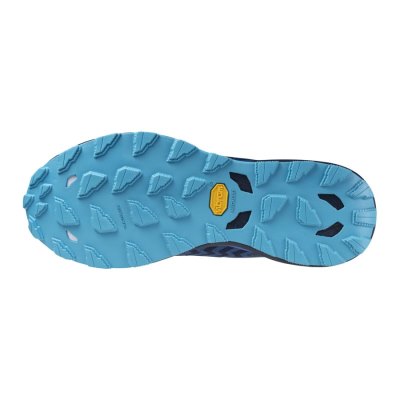 Zapatillas Para Correr Mizuno WAVE Daichi 8 GTX Hombre - Azules Oscuro / Blancos / Azules - Chile M